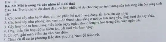 Bài 23: Môi trường và các nhân tố sinh thái
Câu 14. Trong các ví dụ dưới đây, có bao nhiêu ví dụ cho thấy sự ảnh hưởng của ánh sáng đến đời sống sinh
vật?
1. Các loài cây như bạch đàn, phi lao phân bố nơi quang đǎng, tần trên tán cây rừng.
2. Các loài cây như phong lan vạn niên thanh sinh sống ở nơi có ánh sáng yếu, tầng dưới tán cây khác.
3. Cây hoa cúc ra hoa trong điều kiện ngày ngắn thanh long ra hoa trong điều kiện ngày dài.
4. Ong, thần lần hoạt động kiểm ǎn, bắt mồi vào ban ngày.
5. Cú lợn, gấu mèo kiếm ǎn vào ban đêm.
6. Chim én di cư từ phương Bắc đến phương Nam để tránh rét.
ĐA: