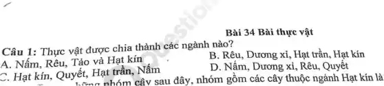 Bài 34 Bài thực vật
Câu 1: Thực vật được chia thành các ngành nào?
A. Nấm, Rêu,Tảo và Hạt kín
B. Rêu, Dương xỉ . Hạt trần, Hạt kín
C. Hạt kín.Quyết, Hạt trần .Nấm
D. Nấm, Dương xỉ, Rêu, Quyết
yết, H nhóm cây sau đây, nhóm gồm các cây thuộc ngành Hạt kín là