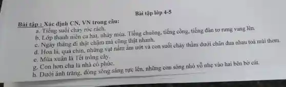 Bài tập lớp 4-5
Bài tập : Xác định CN, VN trong câu:
a. Tiếng suối chảy róc rách.
b. Lớp thanh niên ca hát, nhảy múa . Tiếng chuông, tiếng cồng, tiếng đàn tơ rưng vang lên.
c. Ngày tháng đi thật chậm mà cũng thật nhanh.
d. Hoa lá, quả chín, những vạt nấm ẩm ướt và con suối chảy thầm dưới chân đua nhau toả mùi thơm.
e. Mùa xuân là Tết trồng cây.
g. Con hơn cha là nhà có phúc.
h. Dưới ánh trǎng dòng sông sáng rực lên, những con sóng nhỏ vỗ nhẹ vào hai bên bờ cát.