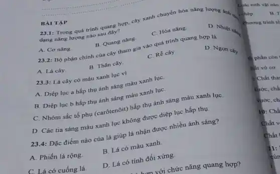 BÀI TẬP
23.1: Trong quá trình quang hợp, cây xanh chuyển hóa nǎng lượng ánh.
dạng nǎng lượng nào sau đây?	i chép.
A. Cơ nǎng.
B. Quang nǎng.
C. Hóa nǎng.
D. Nhiệt nam
23.2: Bộ phận chính của cây tham gia vào quá trình quang hợp là
A. Lá cây.
B. Thân cây.
C. Rễ cây.
D. Ngon cây
23.3: Lá cây có màu xanh lục vì
A. Diệp lục a hấp thụ ánh sáng màu xanh lụC.
B. Diệp lục b hấp thụ ánh sáng màu xanh lụC.
C. Nhóm sắc tố phụ (carôtenôit) hấp thụ ánh sáng màu xanh lụC.
D. Các tia sáng màu xanh lục không được diệp lục hấp thụ.
23.4: Đặc điểm nào của lá giúp lá nhận được nhiều ánh sáng?
A. Phiến lá rộng.
B. Lá có màu xanh
có cuống lá.
D. Lá có tính đối xứng.
m với chức nǎng quang hợp?
Loài sinh vật nào
B r