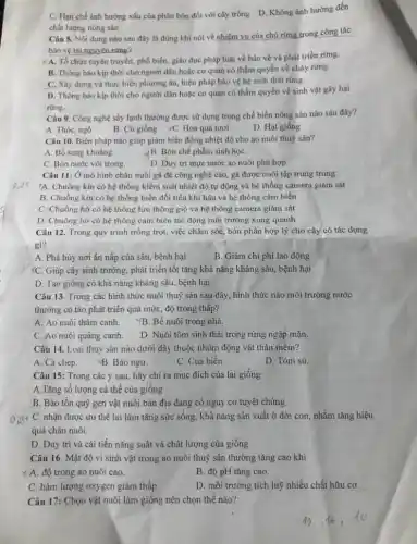 C. Hạn chế ành hưởng xấu của phân bón đối với cây trồng D. Không ảnh hưởng đến
chất lượng nông sản
Câu 8. Nội dung nào sau đây là đúng khi nói về nhiệm vụ của chủ rừng trong công tác
bảo vệ tài nguyên rừng?
x A. Tổ chức tuyên truyền, phổ biến, giáo dục pháp luật về bảo vệ và phát triển rừng.
B. Thông báo kịp thời cho người dân hoặc cơ quan có thẩm quyền về cháy rừng.
C. Xây dựng và thực hiện phương án biện pháp bảo vệ hệ sinh thái rừng.
D. Thông báo kịp thời cho người dân hoặc cơ quan có thẩm quyền về sinh vật gây hại
rừng.
Câu 9. Công nghệ sấy lạnh thường được sử dụng trong chế biến nông sản nào sau đây?
A. Thóc, ngô
B. Củ giống (C. Hoa quả tươi
D. Hạt giống
Câu 10. Biện pháp nào giúp giảm biến động nhiệt độ cho ao nuôi thuỷ sản?
A. Bố sung khoáng
-(B. Bón chế phẩm sinh họC.
C. Bón nước vôi trong.
D. Duy trì mực nước ao nuôi phù hợp.
Câu 11: Ở mô hình chǎn nuôi gà đè công nghệ cao,gà được nuôi tập trung trong:
A. Chuồng kín có hệ thống kiểm soát nhiệt độ tự động và hệ thống camera giám sát
B. Chuồng kín có hệ thống biến đổi tiểu khí hậu và hệ thống cảm biến
C. Chuồng hờ có hệ thống lưu thông gió và hệ thống camera giám sát
D. Chuông hở có hệ thống cảm biến tác động môi trường xung quanh
Câu 12. Trong quy trình trồng trọt, việc chǎm sóc, bón phân hợp lý cho cây có tác dụng
gi?
A. Phá hủy nơi ẩn nấp của sâu.bệnh hại
B. Giảm chi phí lao động
XC. Giúp cây sinh trưởng, phát triển tốt tǎng khả nǎng kháng sâu, bệnh hại
D. Tạo giống có khả nǎng kháng sâu.bệnh hại
Câu 13. Trong các hình thức nuôi thuỷ sản sau đây, hình thức nào môi trường nước
thường có tảo phát triển quá mức, độ trong thấp?
A. Ao nuôi thâm canh.
YB. Bể nuôi trong nhà.
C. Ao nuôi quảng canh.
D. Nuôi tôm sinh thái trong rừng ngập mặn.
Câu 14. Loại thuỷ sản nào dưới đây thuộc nhóm động vật thân mềm?
A. Cá chép.
B. Báo ngư.
C. Cua biển.
D. Tóm sú.
Câu 15: Trong các ý sau, hãy chỉ ra mục đích của lai giống
A.Tǎng số lượng cá thể của giống
B. Bảo tồn quỹ gen vật nuôi bản địa đang có nguy cơ tuyệt chủng
C. nhận được ưu thế lai làm tǎng sức sống. khả nǎng sản xuất ở đời con, nhằm tǎng hiệu
quả chǎn nuôi.
D. Duy trì và cài tiến nǎng suất và chất lượng của giống
Câu 16. Mật độ vi sinh vật trong ao nuôi thuỷ sản thường tǎng cao khi
x A. độ trọng ao nuôi cao.
B. độ pH tǎng cao.
C. hàm lượng oxygen giảm thấp.
D. môi trường tích luỹ nhiều chất hữu cơ.
Câu 17: Chọn vật nuôi làm giống nên chọn thế nào?