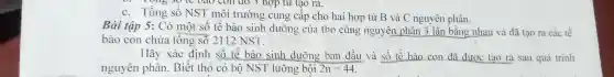 c. Tổng số NST môi trường cung cấp cho hai hợp tử B và C ngu yên phân.
Bài tập 5:C ó một số tế bào sinh dur õng của th ỏ cùn nguyên pl lân 3 lần bằng nhau I và đã tạo ra các tế
b ào con chức	2112NST
định số tế bào sinh dưỡng bar dầu và số tế bào con đã được tạo ra sau quá trinh
2n=44