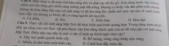 Cau 8. Một công ty đã mua một khu rừng lớn và chặt cây để lấy gỗ. Ánh nắng trước đây không
chiếu tới nền rừng giờ chiếu sáng xuống mặt đất trống . Dương xỉ Holly bắt đầu phát triển nhanh
chóng do khả nǎng tiếp cận với ánh sáng và độ ẩm tǎng lên.Quần thể sinh vật nào sẽ cạnh tranh
trực tiếp với dương xỉ Holly để có cùng nguồn tài nguyên.
A. Cú đốm.
B. SóC.
C. Diều hâu.
D. Hoa dai.
Câu 9. Thực vật cần ánh sáng Mặt Trời để thực hiện quá trình quang hợp. Trong rừng mưa nhiệt
đới, sự sống còn của thực vật phụ thuộc vào khả nǎng thích nghi của nó để tiếp cận với ánh sáng
Mặt Trời.Điều nào sau đây là một ví dụ về một sự thích nghi như vậy?
A. Dây leo quấn quanh thân cây.
B. Rễ mỏng , nông chạy khắp nền rừng.
C. Nhiều lá nhỏ trên một thân cây.
D. Cánh hoa đầy màu sắC.