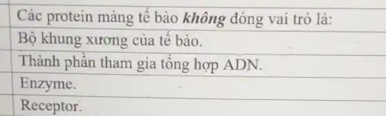 Các protein màng tế bào không đóng vai trò là:
Bộ khung xương của tế bào.
Thành phần tham gia tổng hợp ADN.
Enzyme.
Receptor.