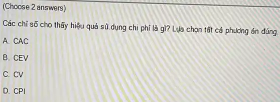 (Choose 2 answers)
Các chi sõ cho thấy hiệu quả sử dụng chi phí là gì? Lựa chọn tất cả phương án đúng.
A. CAC
B. CEV
C. CV
D. CPI