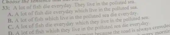 Choose the sentence
33: A lot of fish die everyday. They live in the polluted sea.
A. A lot of fish die everyday which live in the polluted sea.
B. A lot of fish which live in the polluted sea die everyday.
C. A lot of fish die everyday which they live in the polluted sea.
D. A lot of fish which they live in the polluted sea die everyday.
a because the road is always crowde