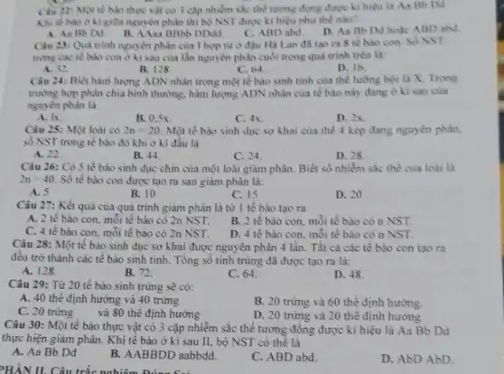 Ciu 22: Mot te bào thực vật có 3 cặp nhiềm sắc thể tương đọng được ki hiệu là Aa Bb Dd.
Khi tế bào o kì giữa nguyên phân thì bộ NST được ki hiệu như thế nào?
A. Aa BbDd. B. AAaa BBbb DDdd
C. ABD abd
D. Aa Bb Dd hoặc ABD abd
Câu 23: Quá trình nguyên phân của I hợp từ ở đậu Hà Lan đã tạo ra 8 tế bào con. Số NST
trong cac té bào con ở kì sau của lần nguyên phân cuối trong quá trình trên là:
A. 32
B. 128
C. 64
D. 16
Câu 24: Biết hàm lượng ADN nhân trong một tế bào sinh tinh của thể lưỡng bội là X. Trong
trường hợp phân chia bình thường, hàm lượng ADN nhân của tế bào này đang ở ki sau cua
nguyên phân là
A. Ix
B. 0.5x	C. 4x.	D. 2x.
Câu 25: Một loài có 2n=20. Một tế bào sinh dục sơ khai của thể 4 kép đang nguyên phân.
số NST trong tế bào đó khi ở kì đầu là
A. 22
B. 44.
C. 24
D. 28
Câu 26: Có 5 tế bào sinh dục chín của một loài giảm phân. Biết số nhiễm sắc thể của loài là
2n=40 Số tế bào con được tạo ra sau giảm phân là:
A. 5
B. 10
C. 15
D. 20
Câu 27: Kết quả của quá trình giảm phân là từ 1 tế bào tạo ra
A. 2 tế bào con, mỗi tế bào có 2n NST.
B. 2 tế bào con, mỗi tế bào có n NST.
C. 4 tế bào con, mỗi tế bào có 2n NST.
D. 4 tế bào con, mỗi tế bào có n NST.
Câu 28: Một tế bào sinh dục sơ khai được nguyên phân 4 lần. Tất cả các tế bào con tạo ra
đều trở thành các tê bào sinh tinh.Tổng số tinh trùng đã được tạo ra là:
A. 128
C. 64.
D. 48
Câu 29: Từ 20 tế bào sinh trứng sẽ có:
A. 40 thể định hướng và 40 trứng
B. 20 trứng và 60 thể định hướng.
C. 20 trứng
và 80 thể định hướng
D. 20 trứng và 20 thể định hướng
PHẦN II. Câu trắc nghiên
Câu 30: Một tế bào thực vật có 3 cặp nhiễm sắc thể tương đồng được kí hiệu là Aa Bb Dd
thực hiện giảm phân . Khi tế bào ở kì sau II, bộ NST có thể là
A. Aa Bb Dd
B. AABBDD aabbdd.
C. ABD abd.
D. AbD AbD.