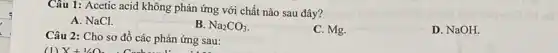Câu 1: Acetic acid không phản ứng với chất nào sau đây?
A. NaCl.
B. Na_(2)CO_(3)
C. Mg.
D. NaOH.
Câu 2: Cho sơ đồ các phản ứng sau:
(1) X+1/O