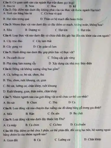 Câu 1: Cơ quan sinh sản của ngành Hạt trần được gọi là gì?
A. Bào tử
B. Nón
C. Hoa
D. Rhat (e)
Câu 2: Đặc điểm nào dưới đây không phải của các thực vật thuộc ngành Hạt kín?
A. Sinh sản bằng bào tử
C. Có hoa và quả
B. Hạt nằm trong quả
D. Thân có hệ mạch dẫn hoàn thiện
Câu 3: Nhóm thực vật nào dưới đây cỏ đặc điểm có mạch, không noãn, không hoa?
A. Rêu
B. Dương xi
C. Hạt kín
D. Hạt trần
Câu 4: Loại thực vật nào dưới đây có chứa chất độc gây hại đến sức khỏe của con người?
A. Cây trúc đào
C. Cây tam thất
B. Cây gọng vó
D. Cây giảo cổ lam
Câu 5: Hành động nào dưới đây góp phần bảo vệ thực vật?
A. Du canh du cư
C. Trồng cây gây rừng
B. Phá rừng làm nương rây
D. Xây dựng các nhà may thủy điện
Câu 6: Động vật không xương sống bao gồm?
A. Cá, lưỡng cư,bò sát, chim, thú
B. Thú, chim, ruột khoang, cá, giun
C. Bò sát, lưỡng cư, chân khớp, ruột khoang
D. Ruột khoang, giun thân mềm, chân khớp
Câu 7: Nhóm ngành nào của giới động vật có tổ chức cơ thể (20 nhất?
A. Bò sát
B. Chim
C. Thú
D. Cá
Câu 8: Loài động vật nào chuyên đục ruồng các đồ dùng bằng; gỗ trong gia đinh?
A. Mối
B. Rận
C. Óc sên
D. Bo chét
Câu 9: Loài động vật nào dưới đây thuộc lớp Thú?
A. Cá mập
B. Cá chim
C. Cá heo
D. Ca chuồn
Câu 10: Đặc điểm cơ thể chia 3 phần, cơ thể phân đốt, đối xưng hai bên, bộ xương ngoài
bằng chitin là của nhóm ngành nào?
A. Giun đôt
B. Cá
C. Lưỡng cư
D. Chân khớp