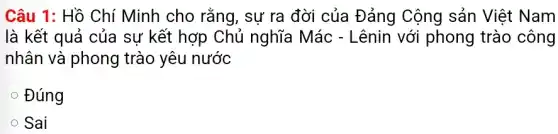 Câu 1: Hồ Chí Minh cho rằng,sự ra đời của Đảng Cộng sản Việt Nam
là kết quả của sự kết hợp Chủ nghĩa Mác - Lênin với phong trào công
nhân và phong trào yêu nước
Đúng
Sai