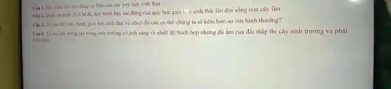 Câu 1. Hãy trình bày nội d ung cơ bản của các quy luật sinh thái.
Câu 2.Quan sát hìn h 20.6 SGK, hã y trình bày tác động củ a quy luật giới hun sinh thá i lên đời sống của cây lúa.
Câu 3. Tại sac khi mắc bệnh,giới hạn sinh thái về nhiệt độ của cơ thể chúng t a sẽ kém hơi n so vớ i bình th ường?
Câu 4. T ai sao khi trò ng cây trong môi trườn:g có ánh sáng và nhiệ t độ thích hợp nhưng đô âm củ:a đất thấp thì câ y sinh tru rởng và pl hát