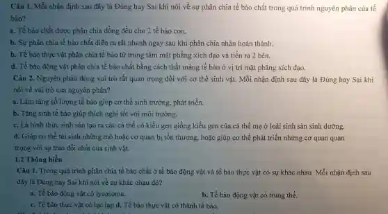 Câu 1. Mỗi nhận định sau đây là Đúng hay Sai khi nói về sự phân chia tế bào chất trong quá trình nguyên phân của tế
bào?
a. Tế bào chất được phân chia đồng đều cho 2 tế bào con.
b. Sự phân chia tế bào chất diễn ra rất nhanh ngay sau khi phân chia nhân hoàn thành.
b. Tế bào thực vật phân chia tế bào từ trung tâm mặt phẳng xích đạo và tiến ra 2 bên.
d. Tế bào động vật phân chia tế bào chất bằng cách thắt màng tế bào ở vị trí mặt phẳng xích đạo.
Câu 2. Nguyên phân đóng vai trò rất quan trọng đối với cơ thể sinh vật. Mỗi nhận định sau đây là Đúng hay Sai khi
nói về vai trò của nguyên phân?
a. Làm tǎng số lượng tế bào giúp cơ thể sinh trường phát triền.
b. Tǎng sinh tế bào giúp thích nghi tốt với môi trường.
c. Là hình thức sinh sản tạo ra các cá thể có kiểu gen giống kiểu gen của cá thể mẹ ở loài sinh sản sinh dưỡng.
d. Giúp cơ thể tái sinh những mô hoặc cơ quan bị tồn thương, hoặc giúp cơ thể phát triển những cơ quan quan
trọng với sự trao đổi chất của sinh vật.
1.2 Thông hiểu
Câu 1. Trong quá trình phân chia tế bào chất ở tế bào động vật và tế bào thực vật có sự khác nhau.Mỗi nhận định sau
đây là Đúng hay Sai khi nói về sự khác nhau đó?
a. Tế bào động vật có lysosome.
b. Tế bào động vật có trung thể.
c. Tế bào thực vật có lục lạp.d.Tế bào thực vật có thành tế bào.