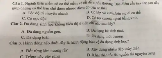 Câu 1. Ngành thân mềm có cơ thể mềm và rất dễ bị tồn thương. Đặc điểm cấu tạo nào sau đây
giúp chúng có thể hạn chế được nhược điểm đó của cơ thể?
A. Tốc độ di chuyển nhanh
B. Có lớp vỏ cứng bên ngoài cơ thể
C. Có nọc độc
D. Có bộ xương ngoài bằng kitin
Câu 2. Đa dạng sinh học không biểu thị ở tiêu chí nào sau đây?
A. Đa dạng nguồn gen.
B. Đa dạng hệ sinh thái.
C. Đa dạng loài.
D. Đa dạng môi trường.
Câu 3. Hành động nào dưới đây là hành động bảo vệ đa dạng sinh học?
A. Đốt rừng làm nương rẫy
B. Xây dựng nhiều đập thủy điện
C. Trồng cây gây rừng
D. Khai thác tối đa nguồn tài nguyên rừng