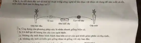 Câu 1. Sơ đồ dưới đây mô tá một kỹ thuật trong công nghệ tế bào thực vật được sử dụng để sản xuất cả rốt,
mỗi nhận định sau là đúng hay sai ?
a. Ứng dụng của phương pháp này là nhân nhanh giống hiện có.
b. Có thể tạo số lượng lớn cây con sạch bệnh.
c. Những cây mới được hình thành dựa trên cơ sở của quá trình giảm phân và thu tinh __
d. Những cây mới có kiểu gen giống nhau và giống với cây ban đầu.