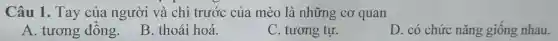 Câu 1. Tay của người và chỉ trước của mèo 1 à những cơ quan
A. tương đồng.
B. thoái hoá.
C. tương tự.
D. có chức nǎng giống nhau