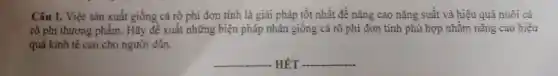 Câu 1. Việc sản xuất giống cá rô phi đơn tính là giải pháp tốt nhất để nâng cao nǎng suất và hiệu quả nuôi cá
rô phi thương phẩm. Hãy đề xuất những biện pháp nhân giống cá rô phi đơn tính phù hợp nhằm nâng cao hiệu
quả kinh tê cao cho người dân.
__ HẾT __