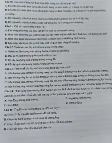 Câu 10. Càm ứng ở động vật được thực hiện thông qua các bộ phận nào?
A. Bộ phận tiếp nhận kích thích, dẫn truyền thông tin kich thích, xứ lí thông tin và đáp ứng.
B. Bộ phận tiếp nhận kích thích, dẫn truyền thông tin kích thích lên, xứ lí thông tin và dẫn truyền thông
tin xuống.
C. Bộ phận tiếp nhận kích thích, dẫn truyền thông tin kích thích lên, xử lí và đáp ứng.
D. Bộ phận tiếp nhận kích thích, phân tích thông tin, xử lí thông tin và đáp ứng.
Câu 11. Thế nào là cảm ứng ở thực vật ?
A. Khà nǎng phàn ứng của thực vật đối với kích thích của môi trường.
B. Hình thức phàn ứng của một bộ phận của cây trước một tác nhân kích thích theo một hướng xác đinh.
C. Hình thức phản ứng của cây trước một tác nhân kích thích không định hướng.
D. Khả nǎng vận động của cơ thể hoặc một cơ quan theo đồng hồ sinh họC.
Câu 12. Ví dụ nào sau đây mô tả hiện tượng hướng sáng?
A. Ngọn cây đậu tương sinh trưởng hướng về phía có ánh sáng.
B. Đậu cô ve sinh trưởng quấn quanh một cọc rào.
C. Rễ cây hoa hồng sinh trưởng hướng xuống đất.
D. Rễ cây ngô sinh trưởng hướng về phía có độ ẩm cao.
Câu 13. Thân và rễ của cây có kiểu hướng động nào dưới đây?
A. thân hướng sáng dương và hướng trọng lực âm, còn rễ hướng sáng âm và hướng trọng lực dương.
B. thân hướng sáng âm và hướng trọng lực dương, còn rễ hướng sáng dương và hướng trọng lực âm.
C. thân hướng sáng dương và hướng trọng lực âm, còn rễ hướng sáng dương và hướng trọng lực dương.
D. thân hướng sáng dương và hướng trọng lực dương , còn rễ hướng sáng âm và hướng trọng lực dương
Câu 14. "Vận động sinh trưởng định hướng đối với kích thích từ một phía của tác nhân trong ngoa
cảnh do sự sai khác về tốc độ sinh trưởng tại hai phía của cơ quan thực vật" gọi là
A. ứng động không sinh trưởng.
B. ứng động sinh trưởng.
C. ứng động.
D. hướng động.
Câu 15. Ý nghĩa của hướng trọng lực đối với cây?
A. Giúp rễ cây tìm đến nguồn nước để hút nướC.
B. Giúp cây luôn hướng về ánh sáng để quang hợp.
C. Giúp rễ cây mọc vào đất đề giữ cây và hút chất dinh dưỡng.
D. Giúp cây bám vào vật cứng khi tiếp xúC.