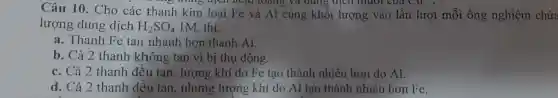 Câu 10.Cho các thanh kim loại Fe và Al cùng khối lượng vào lần lượt mỗi ống nghiệm chứa
loang và dung dịch muối của Cu . CH_(2)CH
lượng dung dịch H_(2)SO_(4) 1M. thi:
a. Thanh Fe tan nhanh hơn thanh Al.
b. Cả 2 thanh không tan vì bi thu động.
c. Cả 2 thanh đều tan, lượng khí do Fe tạo thành nhiều hơn do Al.
d. Cả 2 thanh đều tan, nhưng lượng khí do Al tạo thành nhiều hơn Fe.