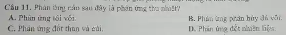 Câu 11 . Phản ứng nào sau đây là phản ứng thu nhiệt?
A. Phản ứng tôi vôi.
B. Phản ứng phân hủy đá vôi.
C. Phản ứng đốt than và củi.
D. Phản ứng đốt nhiên liệu.