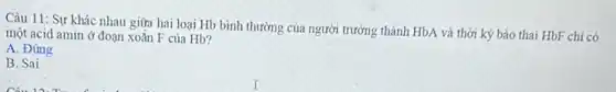 Câu 11: Sự khác nhau giữa hai loại Hb bình thường của người trưởng thành HbA và thời ký bảo thai HbF chi có
một acid amin ở đoạn xoǎn F của Hb?
A. Đúng
B. Sai