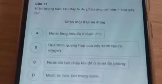 Câu 11
Hiện tượng nào sau đây là do phản ứng oxi hóa -khử gây
ra?
Chọn một đáp án đúng
A ) Nước lỏng hóa đá ở dưới 0^circ C
B )
Quá trình quang hợp của cây xanh tạo ra
oxygen
C Nước đá tan chảy khi để ở nhiệt độ phòng.
D ) Muối ǎn hòa tan trong nước