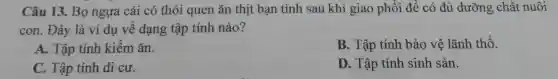 Câu 13. Bọ ngựa cái có thói quen ǎn thịt bạn tình sau khi giao phối để có đủ dưỡng chất nuôi
con. Đây là ví dụ về dạng tập tính nào?
A. Tập tính kiếm ǎn.
B. Tập tính bảo vệ lãnh thổ.
C. Tập tính di cư.
D. Tập tính sinh sản.