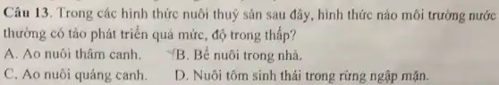 Câu 13. Trong các hình thức nuôi thuỷ sản sau đây, hình thức nào môi trường nước
thường có tảo phát triển quá mức, độ trong thấp?
A. Ao nuôi thâm canh
YB. Bể nuôi trong nhà.
C. Ao nuôi quảng canh
D. Nuôi tôm sinh thái trong rừng ngập mǎn.