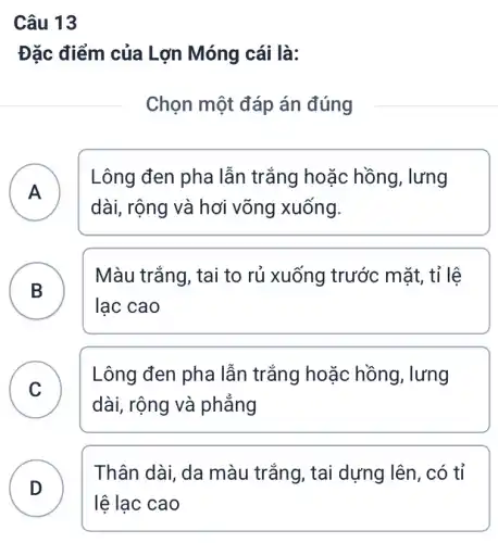 Câu 13
Đặc điểm của Lợn Móng cái là:
Chọn một đáp án đúng
A
Lông đen pha lẫn trắng hoặc hồng, lưng
A
dài, rộng và hơi võng xuống.
B
Màu trắng, tai to rủ xuống trước mặt, tỉ lệ
B
lạc cao
C
Lông đen pha lẫn trắng hoặc hồng, lưng
dài, rộng và phẳng
D
Thân dài, da màu trắng, tai dựng lên, có tỉ
D