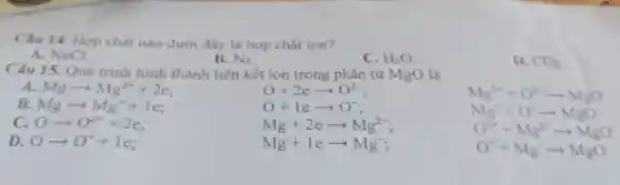 Câu 14. Hợp chất nào dưới đây là hợp chất ion?
B. N_(2)
A. NaCl.
D. CO_(2)
Câu 15. Quá trinh hình thành liên kết ion trong phân tử MgO là
A. Mgarrow Mg^2++2e
O+2earrow O^2-
Mg^2++O^2arrow MgO
B. Mgarrow Mg^++1e
O+learrow O^-
C. Oarrow O^2++2e
Mg+2earrow Mg^2-
Mg^++O^-arrow MgO
O^2++Mg^2-arrow MgO
D. Oarrow O^++le
Mg+1earrow Mg^-
O^++Mg^-arrow MgO