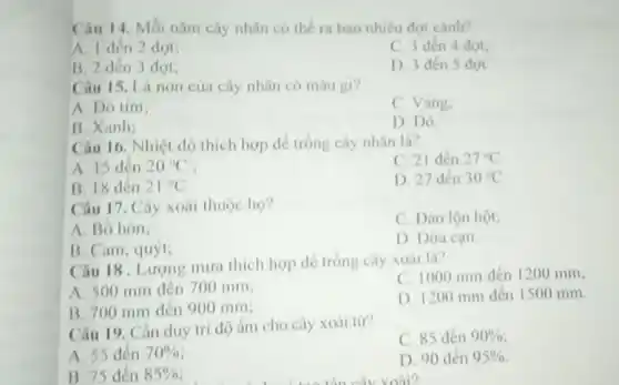 Câu 14. Mỗi nǎm cây nhân có thể ra bao nhiêu đợt cành?
A. I dên 2 đợt;
C. 3 dên 4 đot:
B. 2 dến 3 đợt:
D. 3 dén 5 đợt
Câu 15. Lá non của cây nhân có màu gi?
A. Do tim;
C. Vàng.
B. Xanh;
D. Do
Câu 16. Nhiệt độ thích hợp để trồng cây nhân là?
C. 21 den 27^circ C
A. 15 dén 20^circ C
B. 18 dến 21^circ C
D. 27 den 30^circ C
Câu 17. Cây xoài thuộc họ?
C. Dào lộn hột;
A. Bo hòn;
D Dira can
B. Cam, quýt:
Câu 18. Lương mưa thich hop de trong cây xoài là?
A. 500 mm den 700 mm;
C. 1000 mm den 1200 mm;
B. 700 mm đến 900 mm;
D. 1200 mm đến 1500 mm.
Câu 19. Cần duy tri độ ấm cho cây xoài từ?
C. 85 đến 90% 
A. 55 đến 70% 
D. 90 đến 95% 
B. 75 den 85%