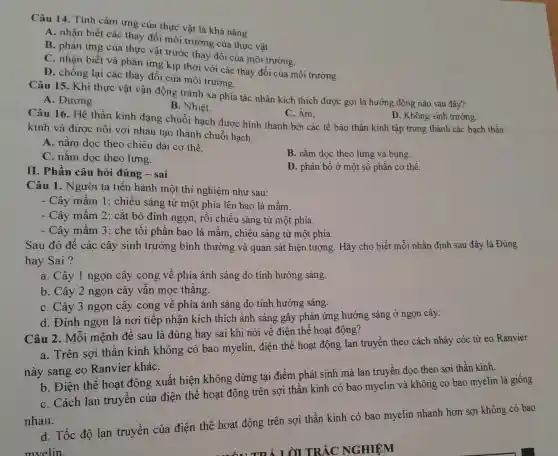 Câu 14. Tính cảm ứng của thực vật là khả nǎng
A. nhận biết các thay đổi môi trường của thực vật.
B. phản ứng của thực vật trước thay đổi của môi trường.
C. nhận biết và phản ứng kịp thời với các thay đổi của môi trường.
D. chống lại các thay đổi của môi trường.
Câu 15. Khi thực vật vận động tránh xa phía tác nhân kích thích được gọi là hướng động nào sau đây?
A. Dương.
B. Nhiệt.
C. Âm.
D. Không sinh trưởng.
Câu 16. Hê thần kinh dạng chuỗi hạch đươc hình thành bởi các tế bào thần kinh tập trung thành các hach thần
kinh và được nối với nhau tạo thành chuỗi hạch:
A. nằm dọc theo chiều dài cơ thể.
B. nằm doc theo lưng và bụng.
C. nằm dọc theo lưng.
D. phân bố ở một số phần cơ thể.
II. Phần câu hỏi đúng - sai
Câu 1. Người ta tiến hành một thí nghiệm như sau:
- Cây mầm 1:chiếu sáng từ một phía lên bao lá mầm.
- Cây mầm 2: cắt bỏ đỉnh ngọn, rồi chiếu sáng từ một phía.
- Cây mầm 3 : che tối phần bao lá mầm, chiếu sáng từ một phía.
Sau đó để các cây sinh trưởng bình thường và quan sát hiện tượng. Hãy cho biết mỗi nhận định sau đây là Đúng
hay Sai?
a. Cây 1 ngọn cây cong về phía ánh sáng do tính hướng sáng.
b. Cây 2 ngọn cây vẫn mọc thẳng.
C. Cây 3 ngọn cây cong về phía ánh sáng do tính hướng sáng.
d. Đỉnh ngọn là nơi tiếp nhận kích thích ánh sáng gây phản ứng : hướng sáng ở ngọn cây.
Câu 2. Mỗi mệnh đề sau là đúng hay sai khi nói về điện thế hoạt động?
a. Trên sợi thần kinh không có bao myelin, điện thế hoạt động lan truyền theo cách nhảy cóc từ eo Ranvier
này sang eo Ranvier kháC.
b. Điện thế hoạt động xuất hiện không dừng tại điểm phát sinh mà lan truyền dọc theo sợi thần kinh.
C. Cách lan truyền của điện thế hoạt động trên sợi thần kinh có bao myelin và không có bao myelin là giống
nhau.
d. Tốc độ lan truyền của điện thế hoạt động trên sợi thần kinh có bao myelin nhanh hơn sợi không có bao
mvelin.
