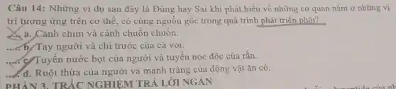 Câu 14:Những ví dụ sau đây là Đúng hay Sai khi phát .biểu về những cơ quan nằm ở những vị
trí tương ứng trên cơ thể, có cùng nguồn gốc trong quá trình phát triển phôi?
a. a. Cánh chim và cánh chuồn chuồn.
__ b/Tay người và chỉ trước của cá voi.
............ Tuyến nước bọt của người và tuyến nọc độc của rắn.
Ruột thừa của người và manh tràng của động vật ǎn cỏ.
PHẦN 3. TRẮC NGHIỆM TR/L LỜI NGẤN