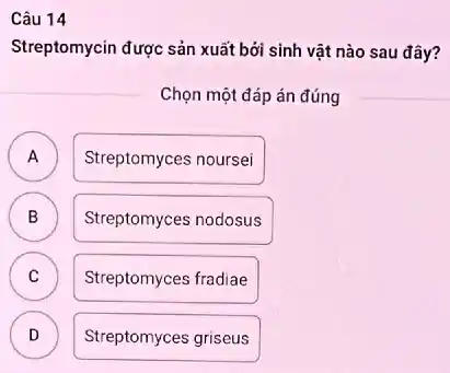 Câu 14
Streptomycin được sản xuất bởi sinh vật nào sau đây?
Chọn một đáp án đúng
A Streptomyces noursei
.
B D
Streptomyces nodosus
C Streptomyces fradiae C
D )
Streptomyces griseus