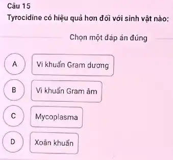 Câu 15
Tyrocidine có hiệu quả hơn đối với sinh vật nào:
Chọn một đáp án đúng
A )
Vi khuẩn Gram dương
B
Vi khuẩn Gram âm
C )
Mycoplasma
D D
Xoần khuẩn