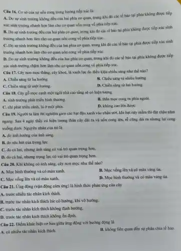 Câu 16. Cơ sở của sự uốn cong trong hướng tiếp xúc là:
A. Do sự sinh trường không đều của hai phía cơ quan, trong khi đó các tế bào tại phía không được tiếp
xúc sinh trường nhanh hơn làm cho cơ quan uốn cong về phía tiếp xúC.
B. Do sự sinh trường đều của hai phía cơ quan, trong khi đó các tế bào tại phía không được tiếp xúc sinh
trưởng nhanh hơn làm cho cơ quan uốn cong về phía tiếp xúC.
C. Do sự sinh trường không đều của hai phía cơ quan, trong khi đó các tế bào tại phía được tiếp xúc sinh
trưởng nhanh hơn làm cho cơ quan uốn cong về phía tiếp xúC.
D. Do sự sinh trường không đều của hai phía cơ quan, trong khi đó các tế bào tại phía không được tiếp
xúc sinh trường chậm hơn làm cho cơ quan uốn cong về phía tiếp xúC.
Câu 17. Cây non mọc thẳng, cây khoẻ, lá xanh lục do điều kiện chiếu sáng như thế nào?
A. Chiếu sáng từ ba hướng.
B. Chiếu sáng từ nhiều hướng.
C. Chiếu sáng từ một hướng.
D. Chiếu sáng từ hai hướng.
Câu 18. Cây gỗ mọc cạnh một ngôi nhà cao tầng sẽ có hiện tượng
A. sinh trưởng phát triển bình thường
B. thân mọc cong ra phía ngoài.
C. chi phát triển cành, lá ở một phía.
D. không cao lên đượC.
Câu 19. Người ta làm thí nghiệm gieo các hạt đậu xanh vào chậu ướt, khi hạt nảy mầm thì đặt chậu nằm
ngang. Sau 4 ngày thấy có hiện tượng thân cây dài ra và uốn cong lên rễ cũng dài ra nhưng lại cong
xuống dưới.Nguyên nhân của nó là
A. do ảnh hướng của ánh sáng.
B. do sức hút của trọng lựC.
C. do cả hai., nhưng ánh sáng có vai trò quan trọng hơn.
D. do cả hai , nhưng trọng lực có vai trò quan trọng hơn.
Câu 20. Khi không có ánh sáng, cây non mọc như thế nào?
A. Mọc bình thường và có màu xanh
B. Mọc vống lên và có màu vàng úa.
C. Mọc vống lên và có màu xanh.
D. Mọc bình thường và có màu vàng úa.
Câu 21. Ứng động (vận động cảm ứng) là hình thức phản ứng của cây
A. trước nhiều tác nhân kích thích.
B. trước tác nhân kích thích lúc có hướng, khi vô hướng.
C. trước tác nhân kích thích không định hướng.
D. trước tác nhân kích thích không ổn định.
Câu 22. Điểm khác biệt cơ bản giữa ứng động với hướng động là
B. không liên quan đến sự phân chia tế bào.
A. có nhiều tác nhân kích thích.