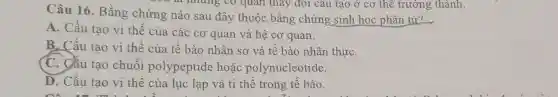 Câu 16.Bằng chứng nào sau đây thuộc bằng chứng sinh học phân tử?
A. Cấu tạo vi thế của các cơ quan và hệ cơ quan.
B. Cấu tạo vi thế của tế bào nhân sơ và tế bào nhân thựC.
C. Câu tạo chuỗi polypeptide hoặc polynucleotide.
D. Cấu tao vi thế của lục lạp và ti thể trong tế bào.