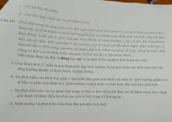 Câu 16:
d. Con rǎn tǎng chiều dài cơ thể thêm 20 cm.
Phôi thai trong từ cung phát triển đến tuần thứ 6 sẽ có kích thước bé xíu từ
4-7mm tuy nhiên giai đoạn này sẽ hình thành hê thần kinh nguyên thủy và xương sống, đồng thời tim thai cũng bắt dầu
hoạt động.Tuần thứ
8,
phôi thai dài hơn 20mm và nặng khoảng
1-3gr và bắt đầu hình thành mát, tay và chân. Đến tuần thú 9, hệ sinh dục của bé cũng bắt đầu hình thành. Đến tuần thứ 12,
thai nhi đã có hình dáng của một con người dài hơn 50mm và nặng
18-25gr , đồng thờicác chức
nǎng cơ bản của hệ thần kinh, tim, gan hệ bài tiết đã cơ bản hoàn thiên
__
Mỗi nhận định sau đây là đúng hay sai về sự phát triển của phôi thai trong tử cung?
a. Giai đoạn từ 6-12
tuần là giai đoạn phôi thai sinh trưởng , trong giai đoạn này phôi thai chủ yếu
tǎng trưởng nhanh về kích thước và khối lượng.
b. Sự phát triển của phôi thai gồm 3 quá trình liên quan mất thiết với nhau là: sinh trưởng, phân hóa
tế bào và phát sinh hình thái . Sinh trưởng và phát triển có biểu hiện đan xen khó tách biêt.
c. Sự phát triển của các cơ quan mới trong cơ thể có thời điểm bắt đầu, tốc độ khác nhau theo từng
giai đoạn và được điều hòa bởi các yếu tố bên trong và bên ngoài.
d. Sinh trưởng và phát triển biểu hiện đan xen khó tách biết.
c. Con gà mái đè trứng.