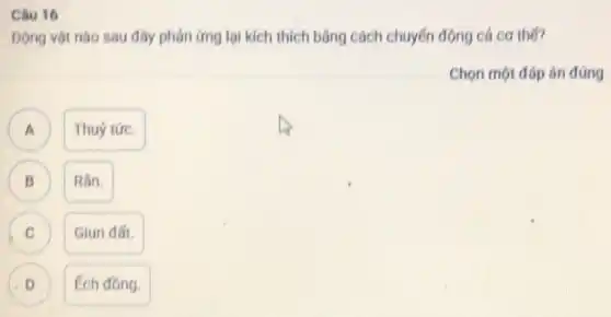 Câu 16
Dọng vật nào sau đây phàn ứng lại kích thích bằng cách chuyển động cá cơ the?
Chọn một đáp án đúng
A Thuý tức.
B B Rán.
C Giun đất. C
D ) Ech đồng.