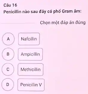 Câu 16
Penicillin nào sau đây có phổ Gram âm:
Chọn một đáp án đúng
)
Nafcillin
B )
Ampicillin
C v
Methicillin
D
D
Penicillin V