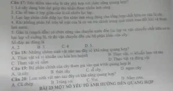 Câu 17: Đặc điểm nào của lá cây phù hợp với chức nǎng quang hợp?
1. Lá cây dạng bản dẹt giúp thu nhận được nhiều ánh sáng.
2. Các tế bào ở lớp giữa của lá có nhiều lục lạp.
3. Luc lap chứa chất diệp lục thu nhận ánh sáng dùng cho tổng hợp chất hữu cơ của lá cây.
4. Khi khồng phân bố trên bề mặt của lá có vai trò chính trong quá trình trao đổi khí và thoát
hơi nướC.
5. Gân lá (mạch dẫn) có chức nǎng vận chuyển nước đến lục lạp và vận chuyển chất hữu cơ từ
lục lạp về cuống lá, từ đó vận chuyển đến các bộ phận khác của cây.
Số đáp án đúng là
A. 2
B.3.
C. 4.
D. 5
Câu 18:Những nhóm sinh vật nào sau đây có khả nǎng quang hop?
A. Thực vật và vi khuẩn oxi hóa lưu huỳnh
B. Thực vật, vi khuẩn lam và tảo
D. Thực vật và động vật
C. Thực vật và nấm
Câu 19: Bộ phận chính của cây tham gia vào quá trình quang hợp là
D. ngọn cây.
B. thân cây.
C. rễ cây.
A. lá cây.
Câu 20: Loài sinh vật nào sau đây có khả nǎng quang hợp?
D. Nấm rom.
C. Voi
B. Trùng roi.
A. Cá chép.
BÀI 23 MỘT SỐ YÊU TÓ ANH HƯƠNG ĐÊN QUANG HOP