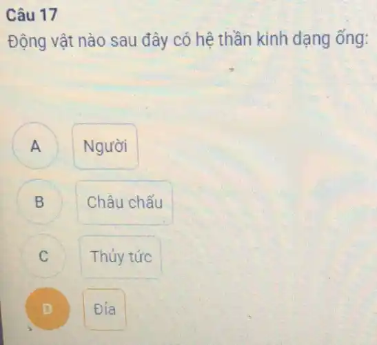 Câu 17
Động vật nào sau đây có hệ thần kinh dạng ống:
A
Người
B B
Châu chấu
C
Thủy tức
D
Địa