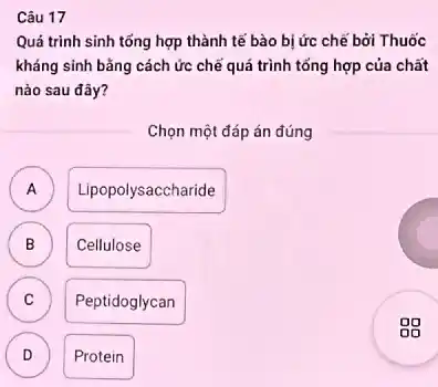 Câu 17
Quá trình sinh tổng hợp thành tế bào bị ức chế bởi Thuốc
kháng sinh bằng cách ức chế quá trình tổng hợp của chất
nào sau đây?
Chọn một đáp án đúng
A ) Lipopolysaccharide
B Cellulose B
C Peptidoglycan c
D ) Protein