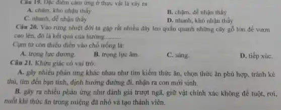 Câu 19. Đặc điểm cảm ứng ở thực vật là xảy ra
A. chậm, khó nhận thấy
B. chậm, dễ nhân thấy
C. nhanh, dễ nhận thấy
D. nhanh, khó nhận thấy
Câu 20. Vào rừng nhiệt đới ta gặp rất nhiều dây leo quấn quanh những cây gỗ lớn để vươn
cao lên, đó là kết quả của hướng. __
Cụm từ còn thiếu điền vào chỗ trống là:
A. trọng lực dương.
B. trọng lực âm.
C. sáng.
D. tiếp xúC.
Câu 21. Khứu giác có vai trò:
A. gây nhiều phản ứng khác nhau như tìm kiếm thức ǎn.chọn thức ǎn phù hợp, tránh kẻ
thù, tìm đến bạn tình, định hướng đường đi, nhận ra con mới sinh.
B. gây ra nhiều phản ứng như đánh giá trượt ngã, giữ vật chính xác không để tuột, rơi,
nuốt khi thức ǎn trong miệng đã nhỏ và tạo thành viên.