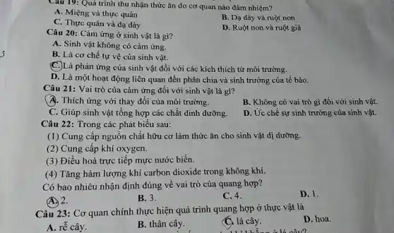 Câu 19: Quá trình thu nhận thức ǎn do cơ quan nào đảm nhiệm?
A. Miệng và thực quản
C. Thực quản và dạ dày
B. Dạ dày và ruột non
D. Ruột non và ruột già
Câu 20: Cảm ứng ở sinh vật là gì?
A. Sinh vật không có cảm ứng.
B. Là cơ chế tự vệ của sinh vật.
C. Là phản ứng của sinh vật đối với các kích thích từ môi trường.
D. Là một hoạt động liên quan đến phân chia và sinh trưởng của tế bào.
Câu 21: Vai trò của cảm ứng đối với sinh vật là gì?
A. Thích ứng với thay đổi của môi trường.
B. Không có vai trò gì đối với sinh vật.
C. Giúp sinh vật tổng hợp các chất dinh dưỡng.
D. Ức chế sự sinh trưởng của sinh vật.
Câu 22: Trong các phát biểu sau:
(1) Cung cấp nguồn chất hữu cơ làm thức ǎn cho sinh vật dị dưỡng.
(2) Cung cấp khí oxygen.
(3) Điều hoà trực tiếp mực nước biển.
(4) Tǎng hàm lượng khí carbon dioxide trong không khí.
Có bao nhiêu nhận định đúng về vai trò của quang hợp?
D. 1.
(A.) 2.
B. 3.
C. 4.
Câu 23: Cơ quan chính thực hiện quá trình quang hợp ở thực vật là
D. hoa.
A. rễ cây.
B. thân cây.
C. lá cây.
, Minhẳng ở lá cây?