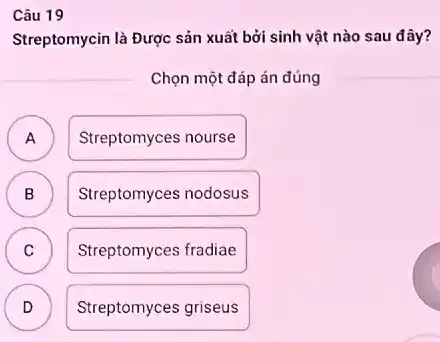 Câu 19
Streptomycin là Được sản xuất bởi sinh vật nào sau đây?
Chọn một đáp án đúng
A ) Streptomyces nourse
B Streptomyces nodosus D
C Streptomyces fradiae C
D Streptomyces griseus v