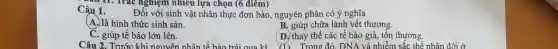 Câu 1.
Trác nghiệm nhiêu lựa chọn (6 điểm)
Đối với sinh vật nhân thực đơn bào.nguyên phân có ý nghĩa
(A.) là hình thức sinh sản.
B. giúp chữa lành vết thương.
C. giúp tế bào lớn lên.
Câu 2. Trước khi nguyên nhân t ế bào trải qua kì
(D. thay thế các tế bào già, tổn thương.