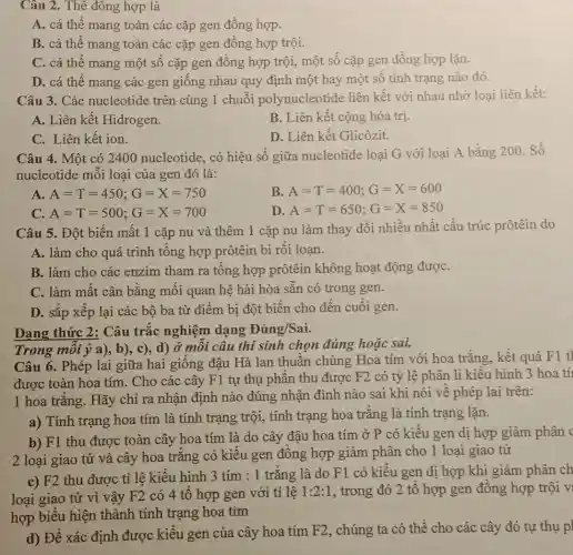 Câu 2. Thê đông hợp là
A. cá thể mang toàn các cặp gen đồng hợp.
B. cá thể mang toàn các cặp gen đồng hợp trội.
C. cá thể mang một số cặp gen đồng hợp trội, một số cặp gen đồng hợp lặn.
D. cá thể mang các gen giống nhau quy định một hay một số tính trạng nào đó.
Câu 3. Các nucleotide trên cùng 1 chuỗi polynucleotide liên kết với nhau nhờ loại liên kết:
A. Liên kết Hidrogen.
B. Liên kết cộng hóa trị.
C. Liên kết ion.
D. Liên kết Glicôzit.
Câu 4. Một có 2400 nucleotide, có hiệu số giữa nucleotide loại G với loại A bằng 200. Số
nucleotide mỗi loại của gen đó là:
A. A=T=450;G=X=750
B A=T=400;G=X=600
C. A=T=500;G=X=700
D A=T=650;G=X=850
Câu 5. Đột biến mất 1 cặp nu và thêm 1 cặp nu làm thay đổi nhiều nhất cấu trúc prôtêin do
A. làm cho quá trình tổng hợp prôtêin bi rối loạn.
B. làm cho các enzim tham ra tổng hợp prôtêin không hoạt động đượC.
C. làm mất cân bằng mối quan hệ hài hòa sẵn có trong gen.
D. sắp xếp lại các bộ ba từ điểm bị đột biến cho đến cuối gen.
Dạng thức 2: Câu trắc nghiệm dạng Đúng/Sai.
Trong mỗi ý a), b), c), d) ở môi câu thí sinh chọn đúng hoặc sai.
Câu 6. Phép lai giữa hai giống đậu Hà lan thuần chủng Hoa tím với hoa trắng, kết quả F1 t
được toàn hoa tím . Cho các cây F1 tự thụ phấn thu được F2 có tỷ lệ phân li kiểu hình 3 hoa tí
1 hoa trắng. Hãy chỉ ra nhận định nào đúng nhận đình nào sai khi nói về phép lai trên:
a) Tính trạng hoa tím là tính trạng trội, tính trạng hoa trắng là tính trạng lặn.
b) F1 thu được toàn cây hoa tím là do cây đậu hoa tím ở P có kiểu gen dị hợp giảm phân c
2 loại giao tử và cây hoa trắng có kiểu gen đồng hợp giảm phân cho 1 loại giao tử
c) F2 thu được tỉ lệ kiểu hình 3 tím : 1 trắng là do F1 có kiểu gen dị hợp khi giảm phân ch
loại giao tử vì vậy F2 có 4 tổ hợp gen với tỉ lệ 1:2:1 , trong đó 2 tổ hợp gen đồng hợp trội v
hợp biểu hiện thành tính trạng hoa tím
d) Để xác định được kiểu gen của cây hoa tím
F2 , chúng ta có thể cho các cây đó tự thụ p]