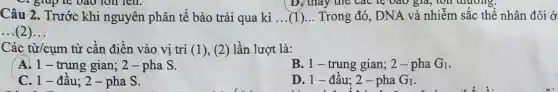 Câu 2. Trước khi nguyên phân tế bào trải qua kì __ Trong đó, DNA và nhiễm sắc thể nhân đôi ở
( D. thay the cac te bao giá, ton thương,
__
Các từ/cụm từ cần điền vào vị trí (1), (2) lần lượt là:
A. 1-trung gian;2-pha S.
B. 1-trung gian; 2-pha G_(1)
C. 1-đầu; 2 - pha S.
D. 1 - đâu; 2-pha G_(1)
D. 1-đây, 2-pha Ol. (-