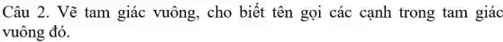Câu 2. Vẽ tam giác vuông, cho biết tên gọi các cạnh trong tam giác
vuông đó.
