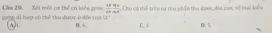 Câu 20. Xét một cơ thể có kiểu gene. (AB)/(ab)(Mn)/(mN) Cho cá thể trên tự thụ phấn thu được dời con, số loai kiểu
gene dị hợp có thể thu được ở dời con là?
(A.) 4.
B. 6.
C. 3.
D. 5.